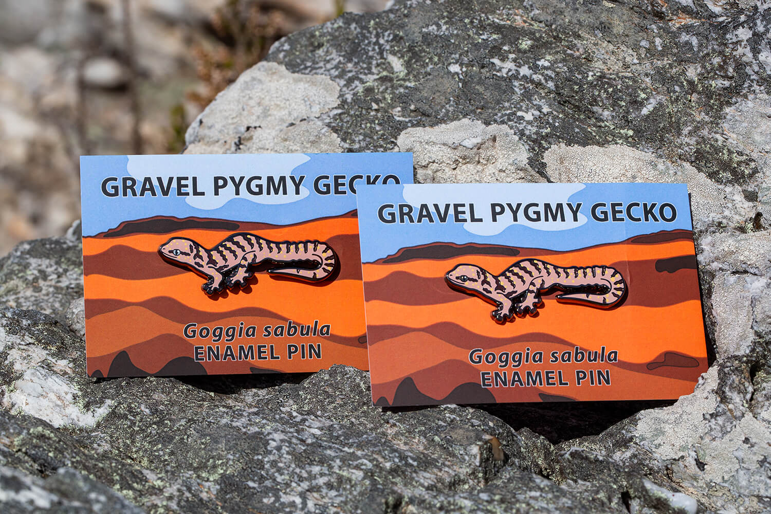 Courtney Hundermark - Gravel Pygmy Gecko enamel pin